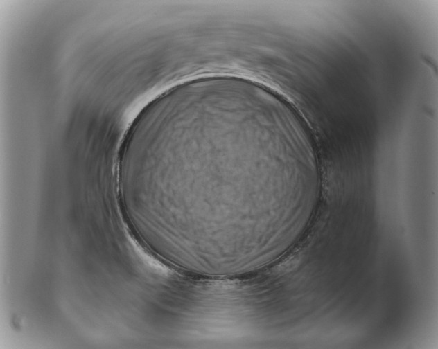 X0000100781519200807101803