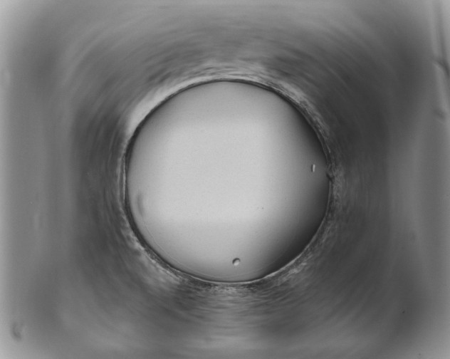 X0000100781520200807101803