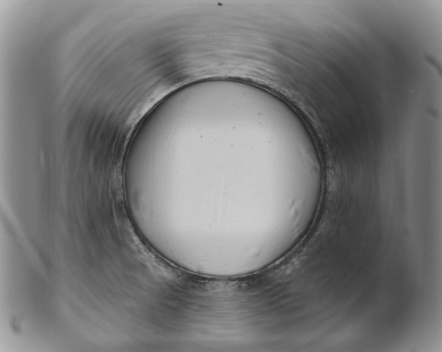 X0000100781521200807101803