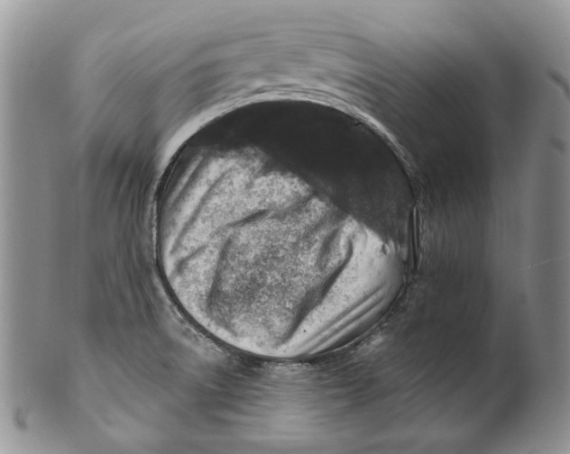 X0000100781522200807101803