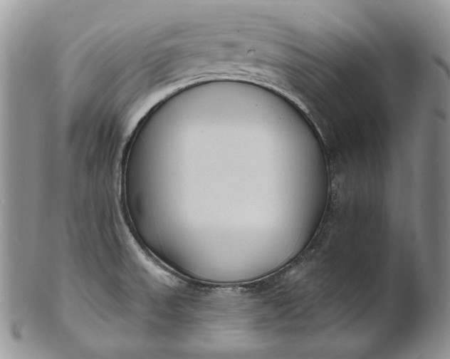 X0000100781523200807101803