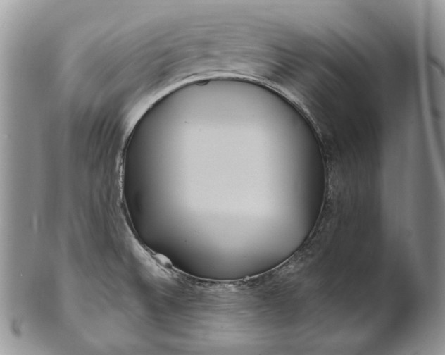 X0000100781524200807101803