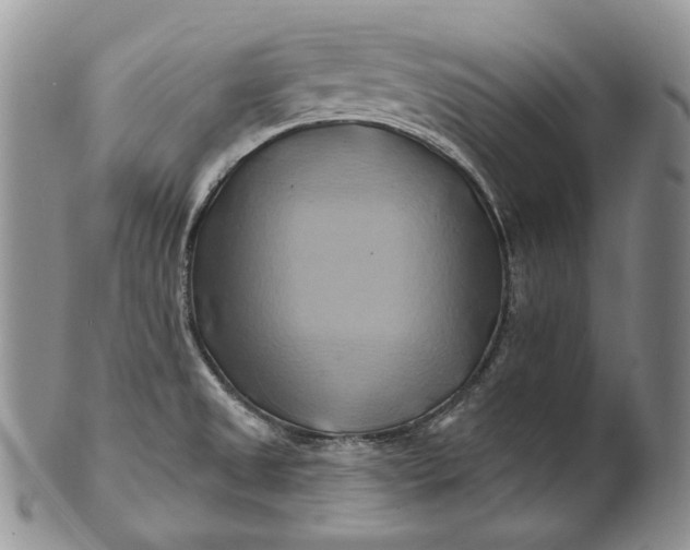 X0000100781525200807101803