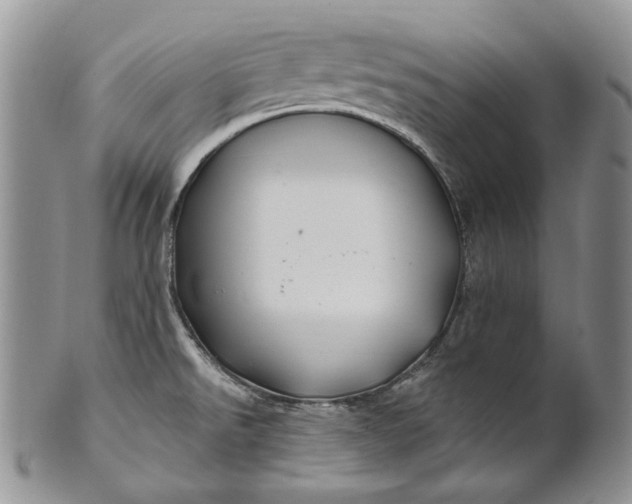 X0000100781526200807101803