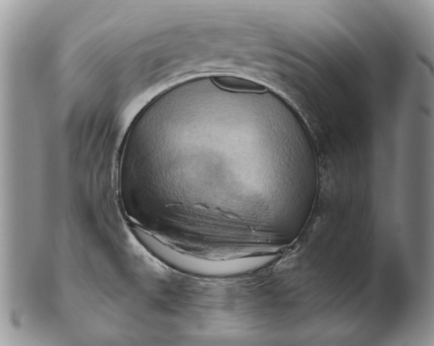 X0000100781527200807101803