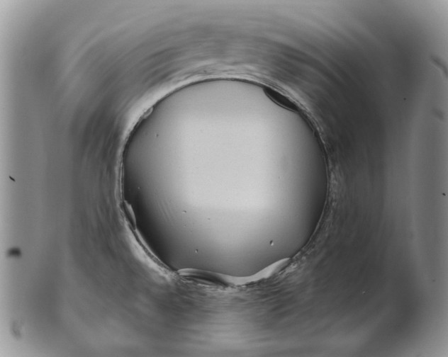 X0000100781528200807101803