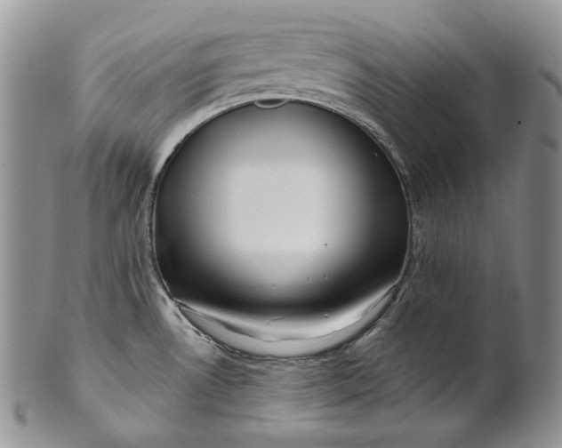 X0000100781530200807101804