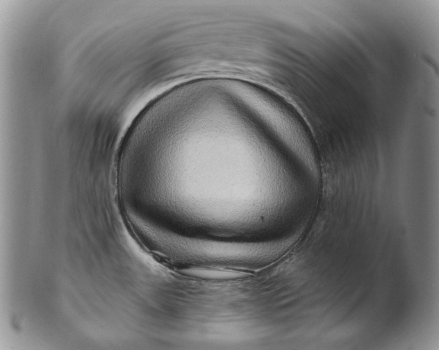 X0000100781531200807101804