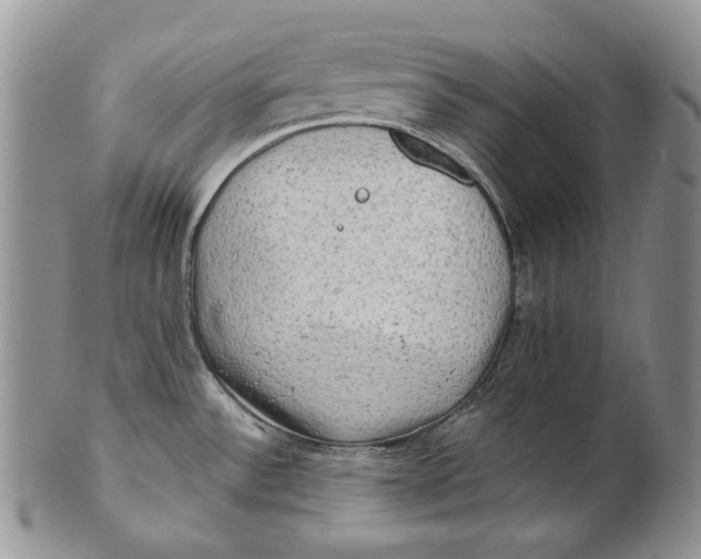 X0000100781532200807101804