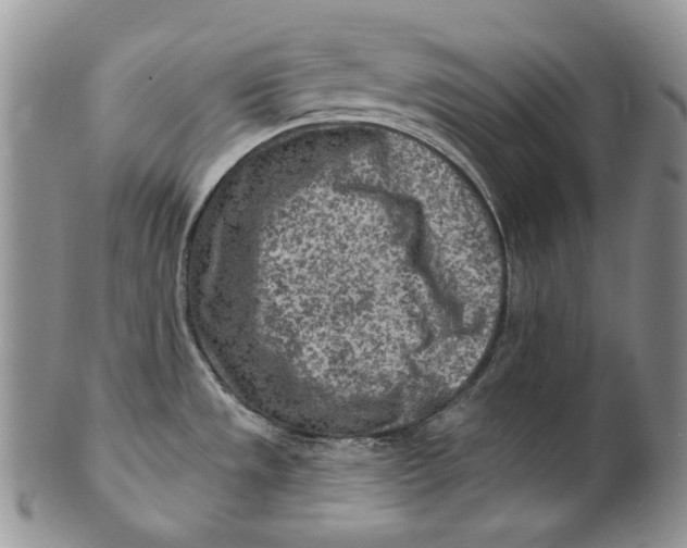 X0000100781533200807101804