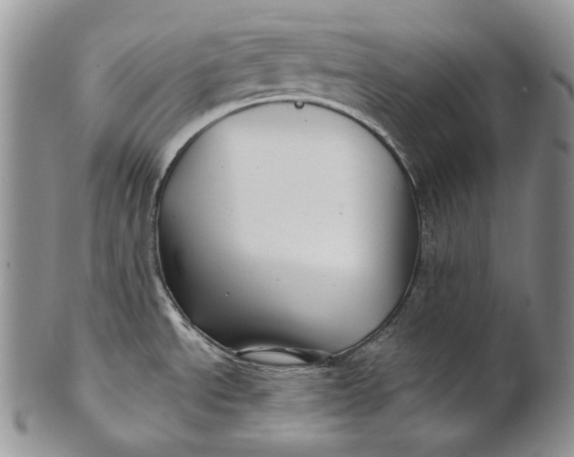 X0000100781534200807101804