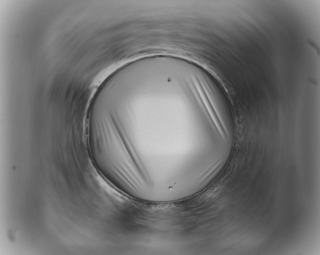 X0000100781535200807101804