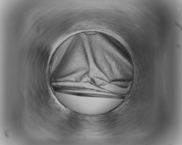 X0000100781536200807101804