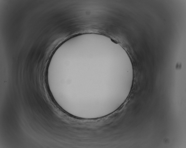 X0000100780001200807171454