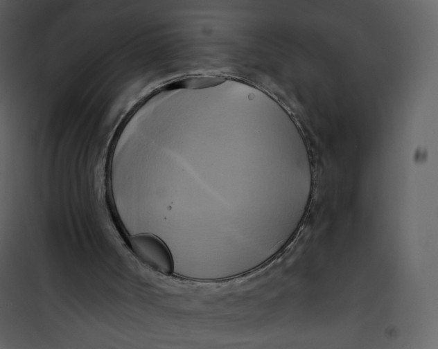 X0000100780002200807171454