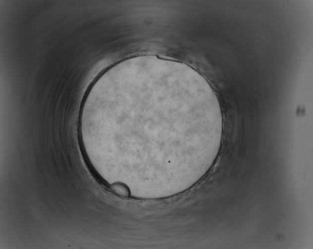 X0000100780003200807171454