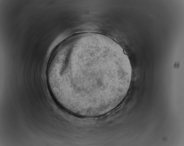 X0000100780004200807171454