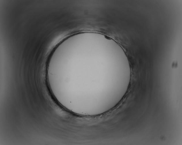 X0000100780005200807171454