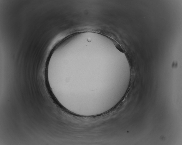 X0000100780006200807171454