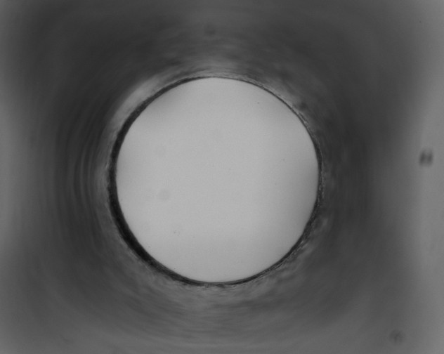 X0000100780007200807171454