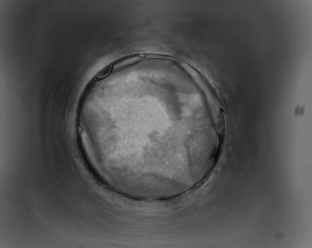 X0000100780008200807171454