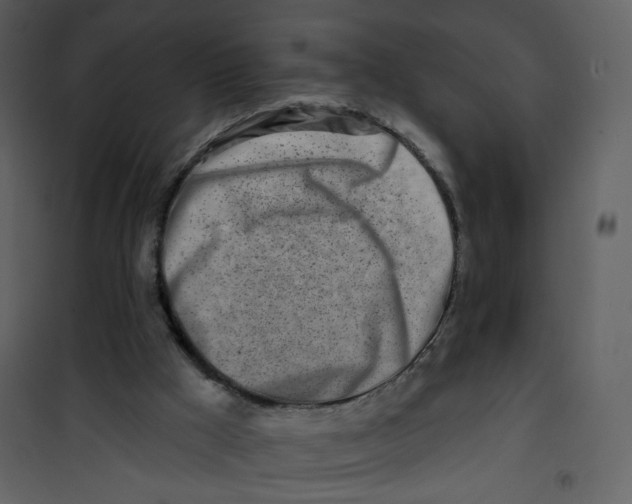 X0000100780009200807171454