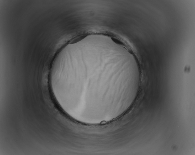 X0000100780010200807171454