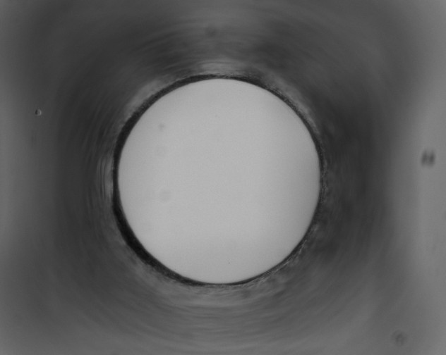 X0000100780011200807171454