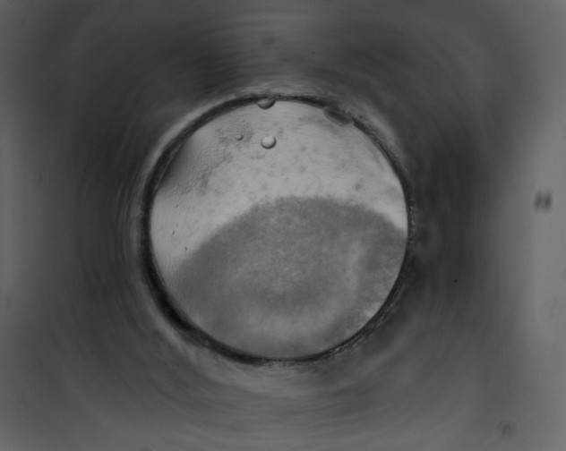 X0000100780012200807171454
