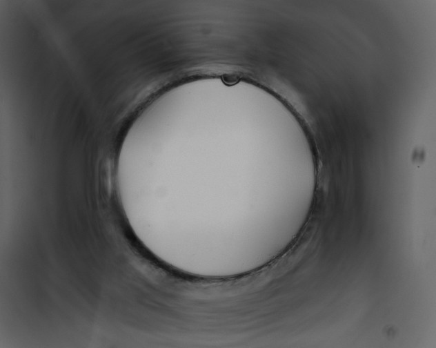 X0000100780013200807171454