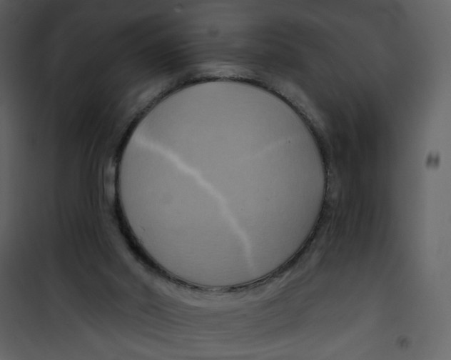 X0000100780014200807171454