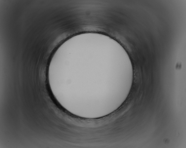 X0000100780015200807171454