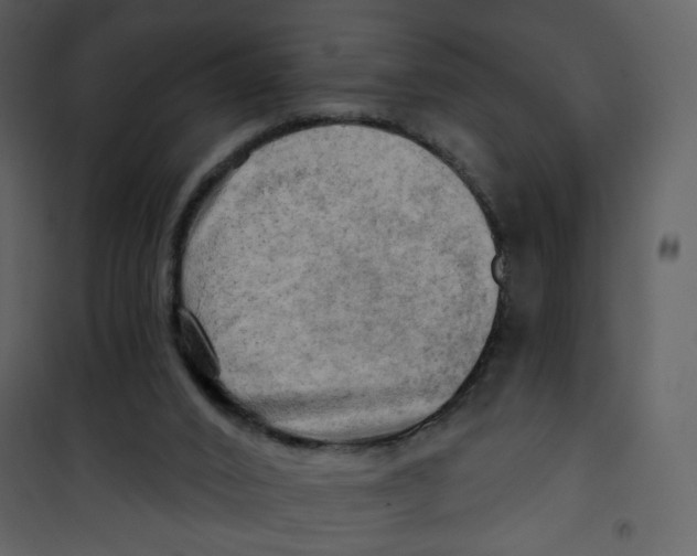 X0000100780016200807171454