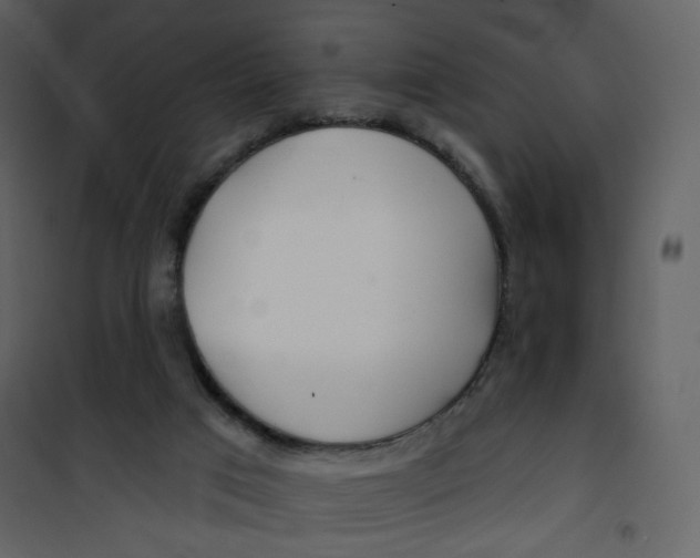 X0000100780017200807171454