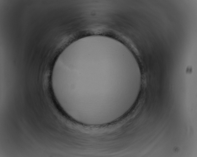 X0000100780018200807171454
