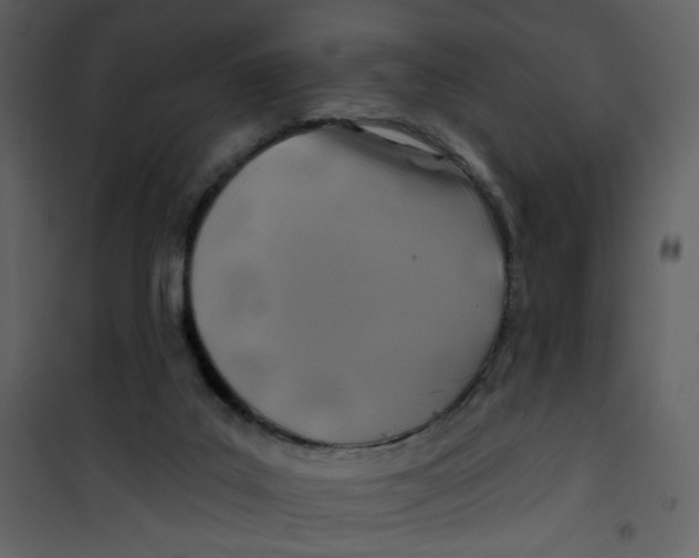 X0000100780019200807171454