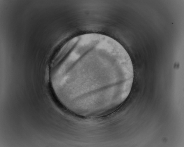 X0000100780020200807171454