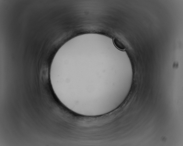 X0000100780021200807171454