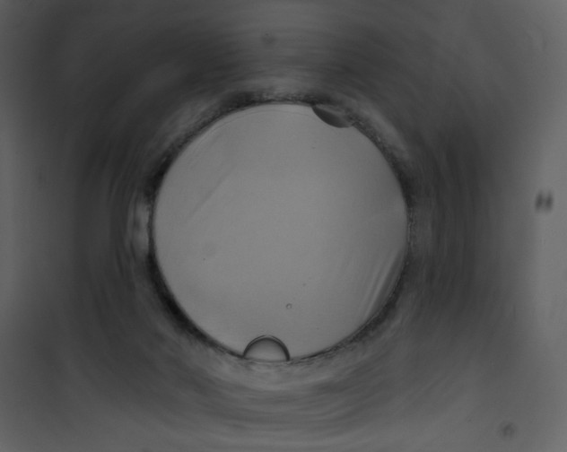 X0000100780022200807171454