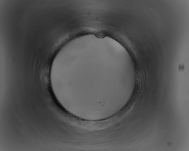 X0000100780023200807171454