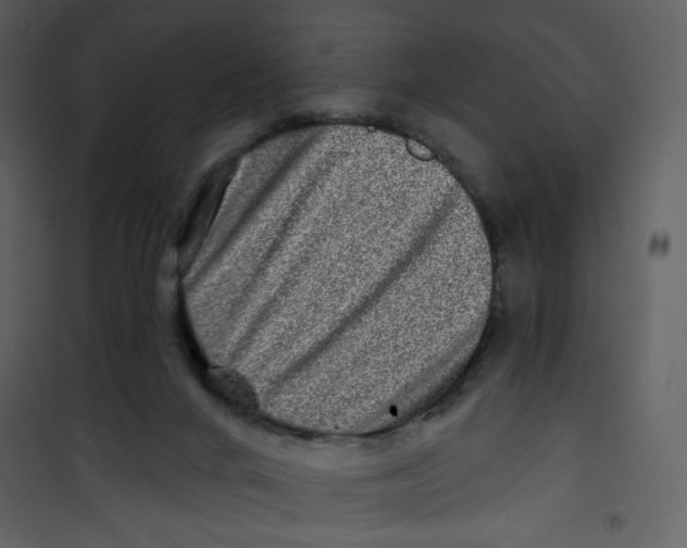 X0000100780024200807171454