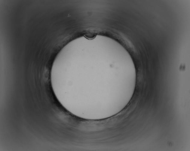 X0000100780025200807171454