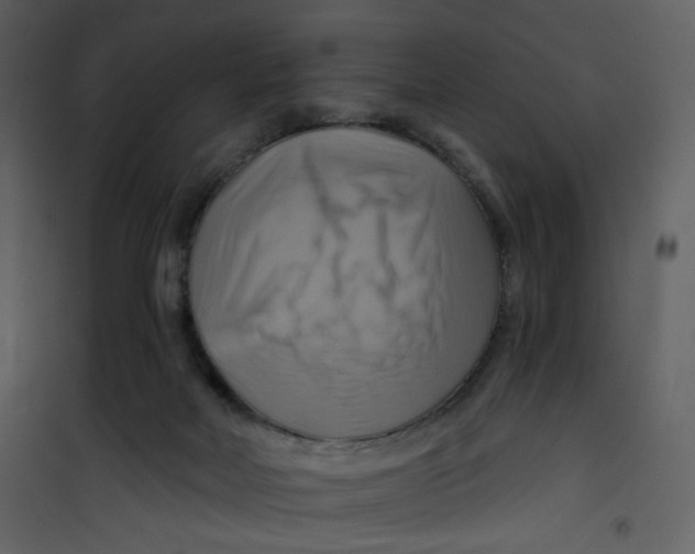 X0000100780026200807171454