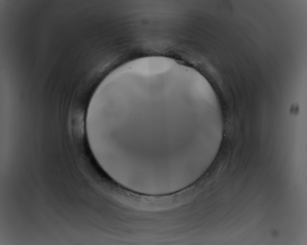 X0000100780027200807171454