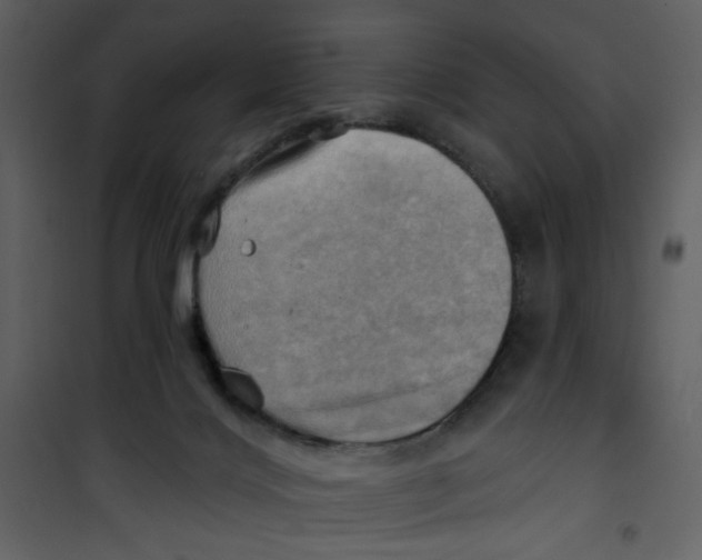 X0000100780028200807171454