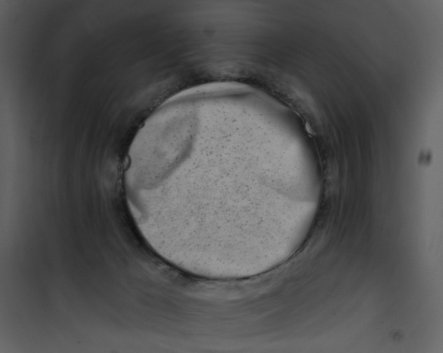 X0000100780029200807171454