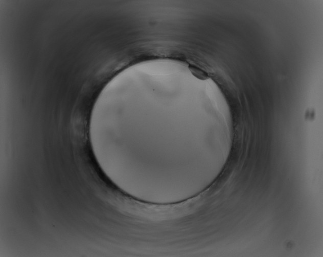 X0000100780031200807171454