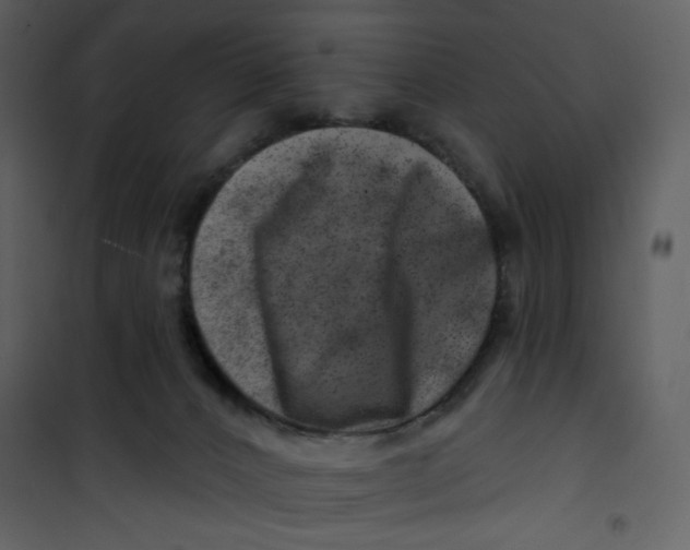 X0000100780032200807171454