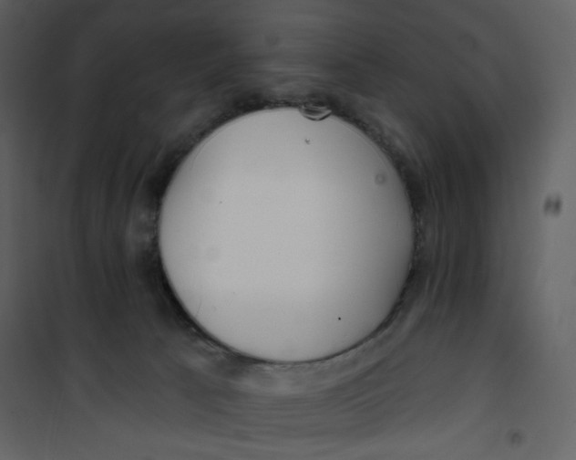 X0000100780033200807171454