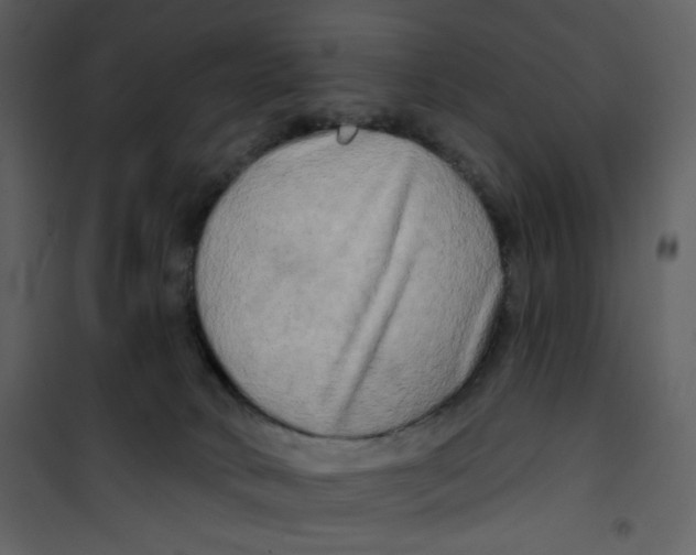 X0000100780034200807171454